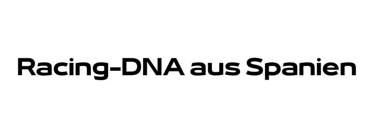 Bild ohne Titel